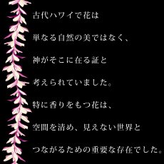 画像11: プルメリアレイ柄プリント 6.2oz フライス 半袖 Ｔシャツ 白地 黒地 紺地 ネコポス送料無料 (11)