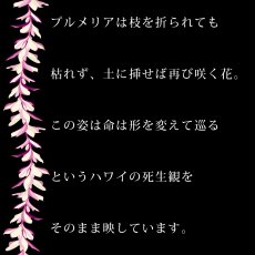 画像12: プルメリアレイ柄プリント 6.2oz フライス 半袖 Ｔシャツ 白地 黒地 紺地 ネコポス送料無料 (12)