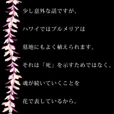 画像13: プルメリアレイ柄プリント 6.2oz フライス 半袖 Ｔシャツ 白地 黒地 紺地 ネコポス送料無料 (13)