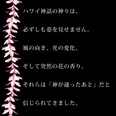 画像14: プルメリアレイ柄プリント 6.2oz フライス 半袖 Ｔシャツ 白地 黒地 紺地 ネコポス送料無料 (14)