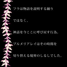 画像16: プルメリアレイ柄プリント 6.2oz フライス 半袖 Ｔシャツ 白地 黒地 紺地 ネコポス送料無料 (16)