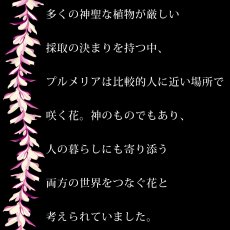 画像17: プルメリアレイ柄プリント 6.2oz フライス 半袖 Ｔシャツ 白地 黒地 紺地 ネコポス送料無料 (17)