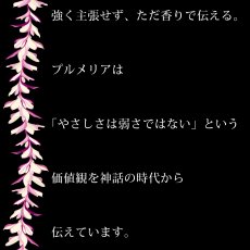 画像18: プルメリアレイ柄プリント 6.2oz フライス 半袖 Ｔシャツ 白地 黒地 紺地 ネコポス送料無料 (18)