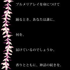 画像19: プルメリアレイ柄プリント 6.2oz フライス 半袖 Ｔシャツ 白地 黒地 紺地 ネコポス送料無料 (19)