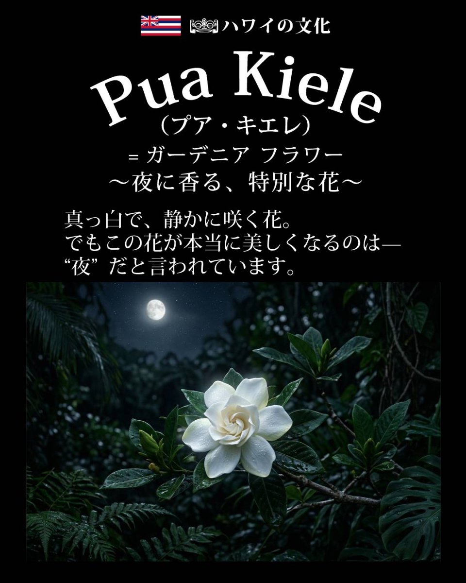 画像10: プアキエレ柄 6.2oz フライス 半袖 Ｔシャツ 白地 黒地 紺地 ネコポス送料無料 (10)