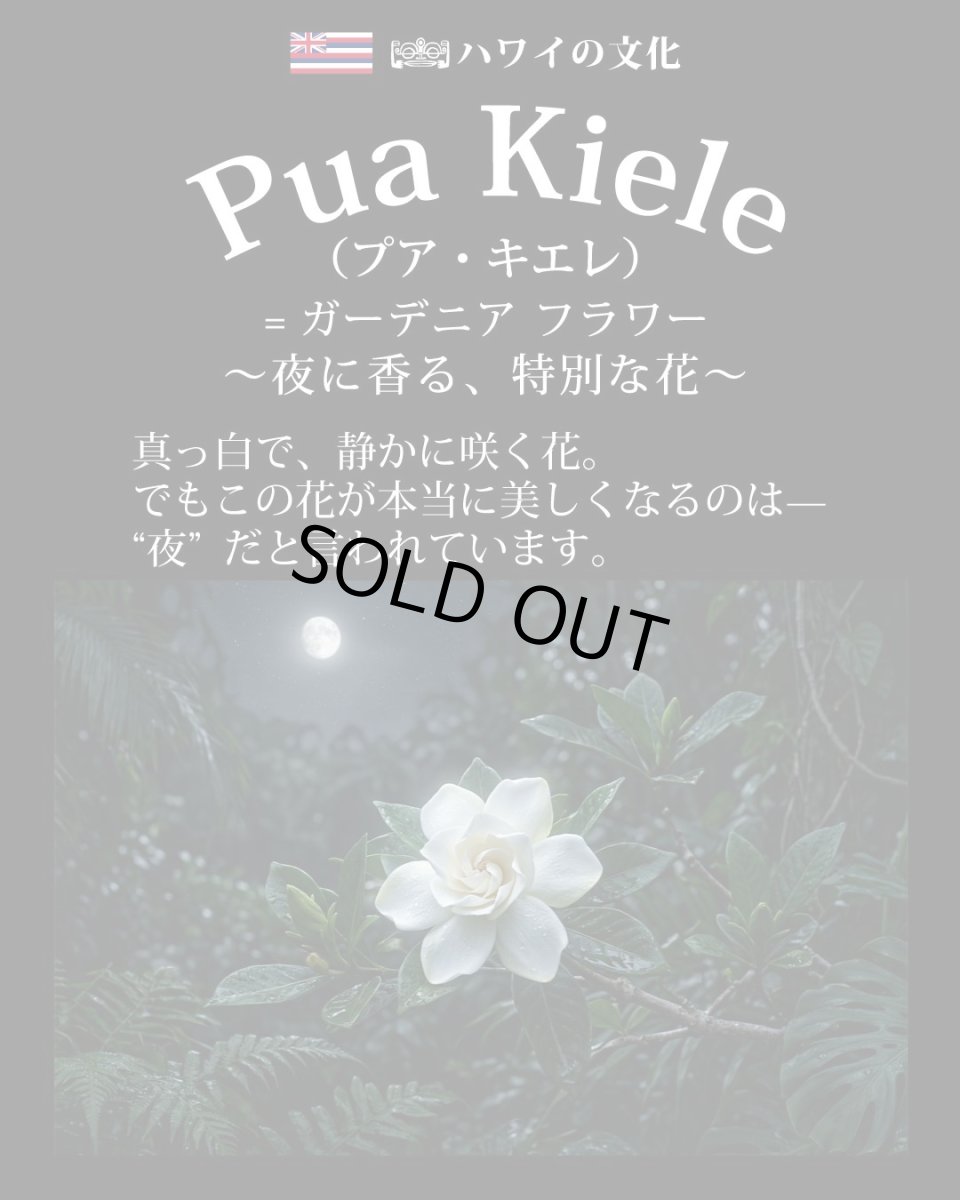 画像4: ウィスパーオブガーデニア柄  半袖 Tシャツ｜モダール レーヨン フレンチスリーブ スリムフィット ショートスリーブ (4)