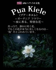 画像10: プアキエレ柄 6.2oz フライス 半袖 Ｔシャツ 白地 黒地 紺地 ネコポス送料無料 (10)