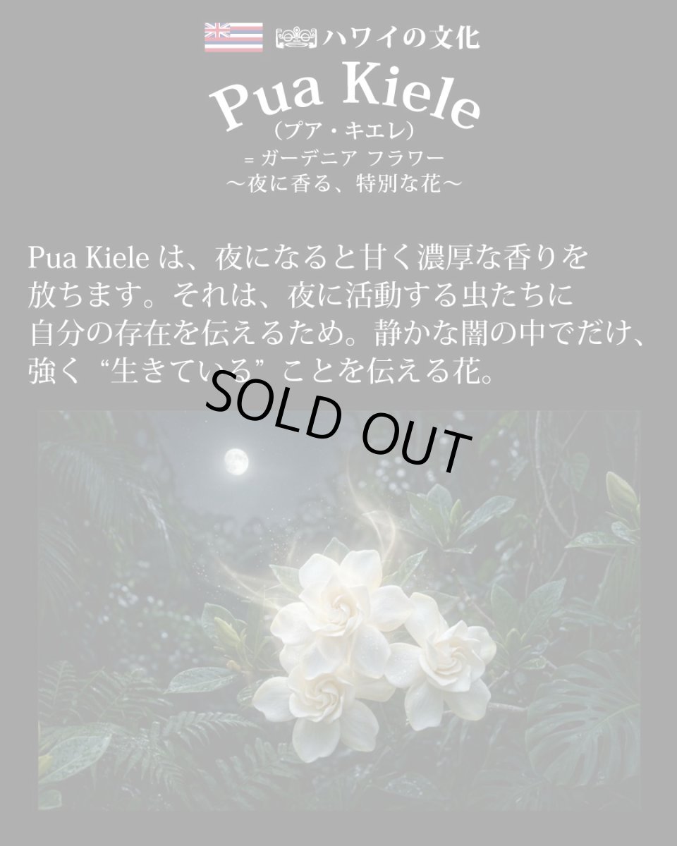 画像5: ウィスパーオブガーデニア柄  半袖 Tシャツ｜モダール レーヨン フレンチスリーブ スリムフィット ショートスリーブ (5)