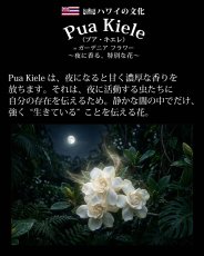 画像11: プアキエレ柄 6.2oz フライス 半袖 Ｔシャツ 白地 黒地 紺地 ネコポス送料無料 (11)