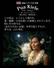 画像12: プアキエレ柄 6.2oz フライス 半袖 Ｔシャツ 白地 黒地 紺地 ネコポス送料無料 (12)