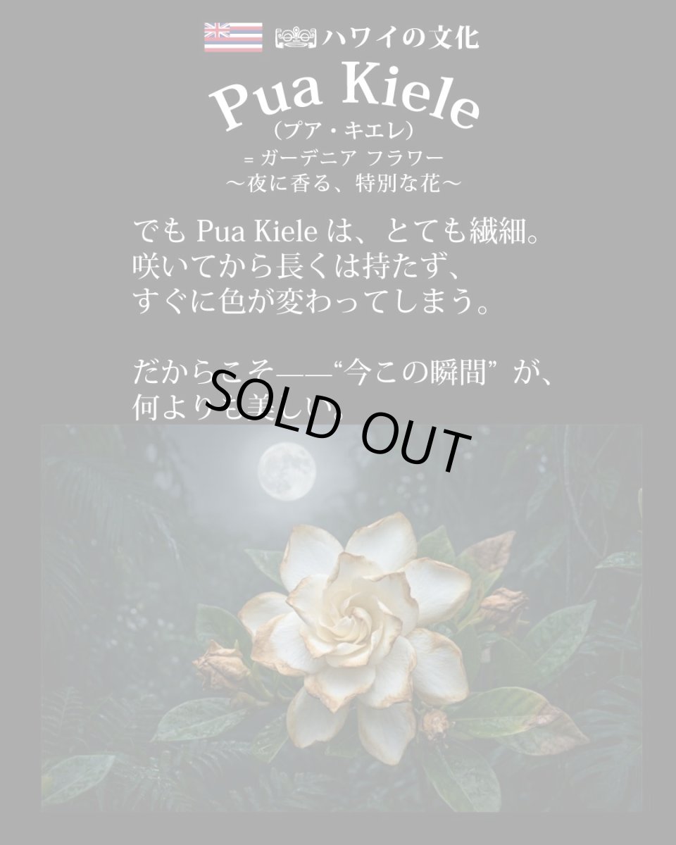 画像7: ウィスパーオブガーデニア柄  半袖 Tシャツ｜モダール レーヨン フレンチスリーブ スリムフィット ショートスリーブ (7)