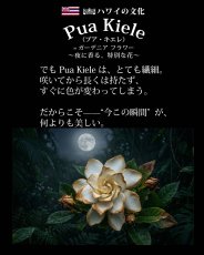 画像13: プアキエレ柄 6.2oz フライス 半袖 Ｔシャツ 白地 黒地 紺地 ネコポス送料無料 (13)