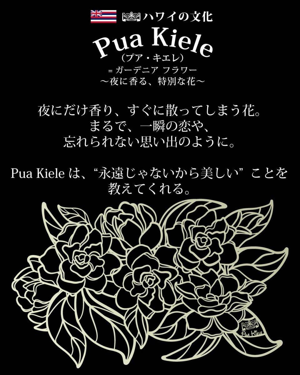 画像14: プアキエレ柄 6.2oz フライス 半袖 Ｔシャツ 白地 黒地 紺地 ネコポス送料無料 (14)