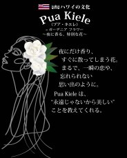 画像8: ウィスパーオブガーデニア柄  半袖 Tシャツ｜モダール レーヨン フレンチスリーブ スリムフィット ショートスリーブ (8)