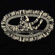 画像4: ホワイトジンジャーレイ 6.2oz フライス 半袖 Ｔシャツ 黒地 ベージュ プリント 女性らしいライン 程よいフィット感 ネコポス送料無料 (4)