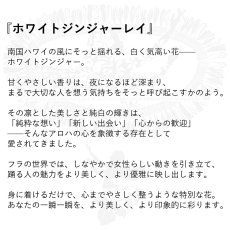 画像6: ホワイトジンジャーレイ柄 6.2oz フライス 半袖 Ｔシャツ 白地 ベージュ プリント  (6)