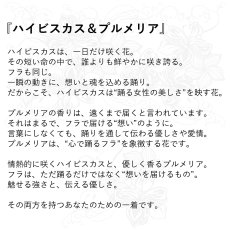 画像2: ハイビスカス＆プルメリア柄 6.2oz フライス 半袖 Ｔシャツ 白地 青 プリント  (2)