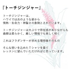 画像2: トーチジンジャー柄 6.2oz フライス 半袖 Ｔシャツ 白地 黒地 キラキラプリント ネコポス送料無料 (2)