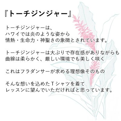 画像1: トーチジンジャー柄 6.2oz フライス 半袖 Ｔシャツ 白地 黒地 キラキラプリント ネコポス送料無料