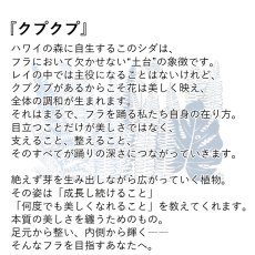 画像2: クプクプ柄 6.2oz フライス 半袖 Ｔシャツ 白地 黒地 紺地 ネコポス送料無料 (2)