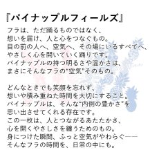画像2: パイナップルフィールズ柄 6.2oz フライス 半袖 Ｔシャツ 白地 黒地 紺地 ネコポス送料無料 (2)