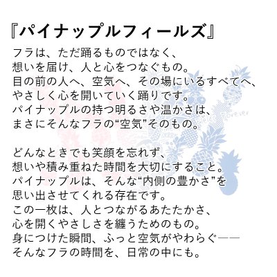 画像2: パイナップルフィールズ柄 6.2oz フライス 半袖 Ｔシャツ 白地 黒地 紺地 ネコポス送料無料