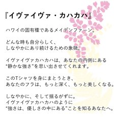画像2: イヴァイヴァ カハカハ柄 6.2oz フライス 半袖 Ｔシャツ 白地 黒地 紺地 ネコポス送料無料 (2)