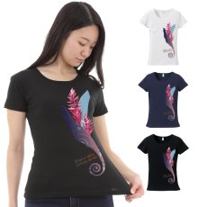 画像1: フラダンスの練習着に最適 フライス 半袖 Tシャツ トーチジンジャーマーメイド柄 ネコポス対応可 (1)