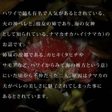 画像13: ペレ柄モダール レーヨン スリムフィット 5分袖 Tシャツ 白 黒 ネコポス送料無料 (13)