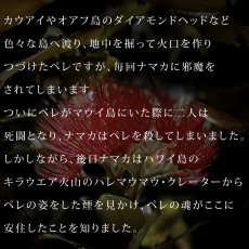 画像15: ペレ柄モダール レーヨン スリムフィット 5分袖 Tシャツ 白 黒 ネコポス送料無料 (15)