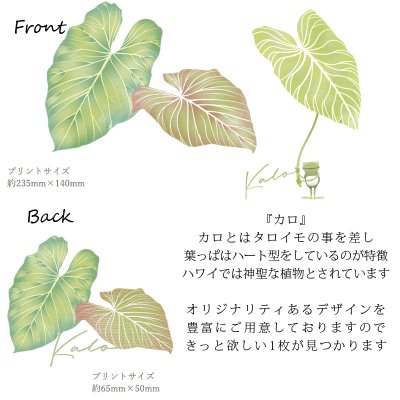 画像1: Kalo(カロ)グリーン柄モダール レーヨン スリムフィット 5分袖 Tシャツ カロ(グリーン)柄 白 黒 ネコポス送料無料