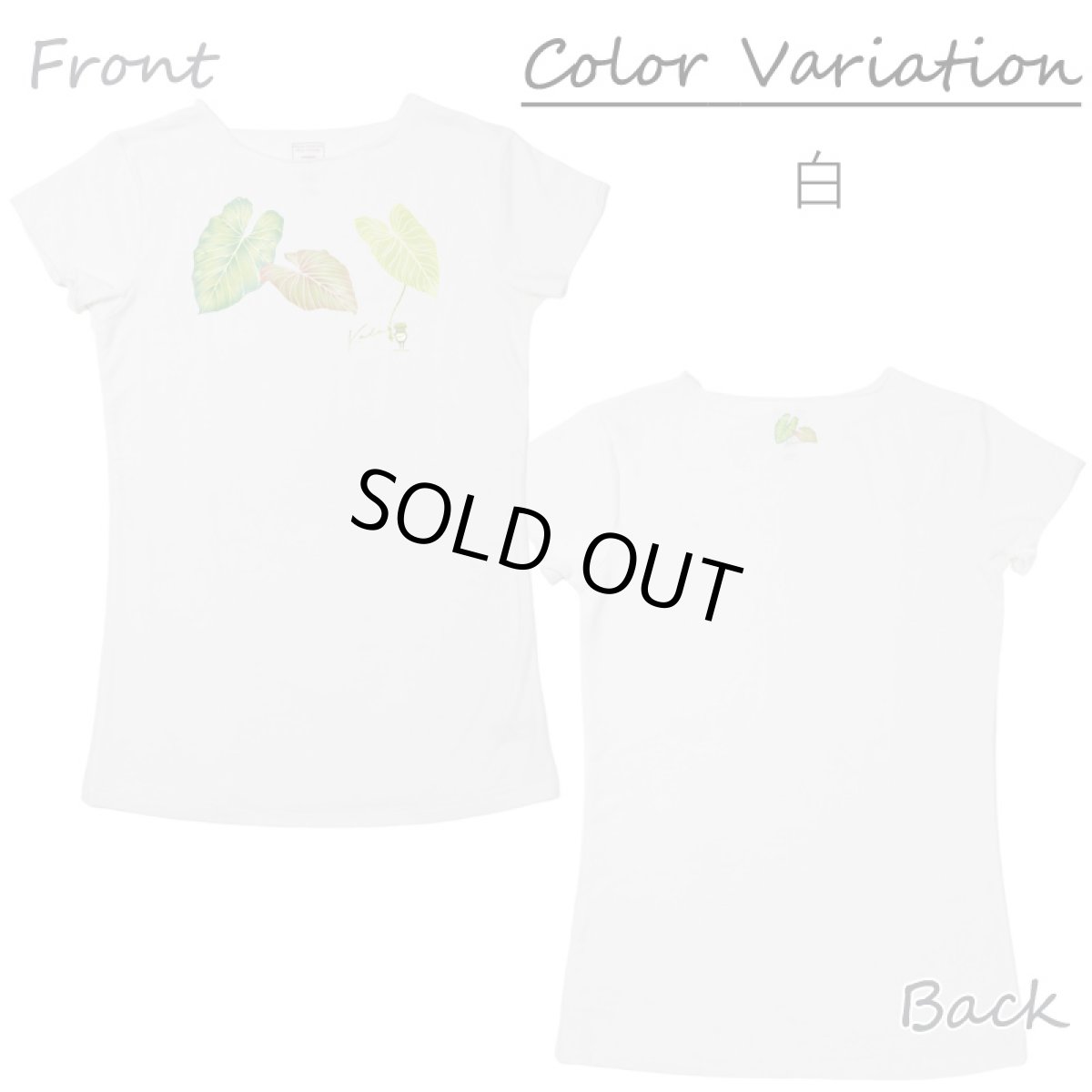 画像3: Kalo（カロ）グリーン柄 プリント 半袖 Tシャツ｜モダール レーヨン フレンチスリーブ スリムフィット ショートスリーブ (3)