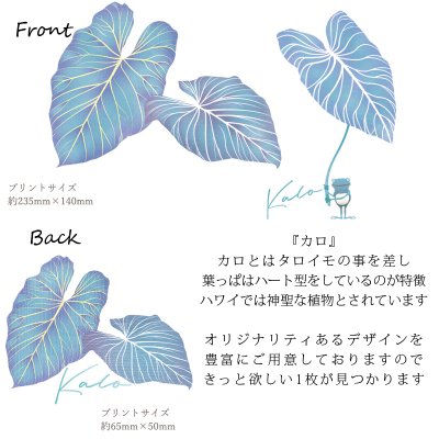 画像1: カロ(ブルー)柄モダール レーヨン スリムフィット 5分袖 Tシャツ カロ(ブルー)柄 白 黒 ネコポス送料無料