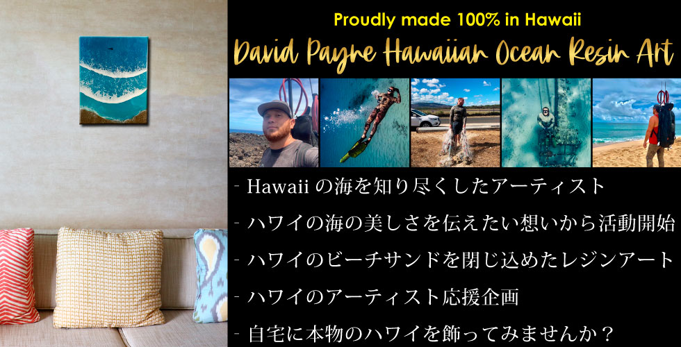 David Payne Hawaiian Ocean Resin Art Collection