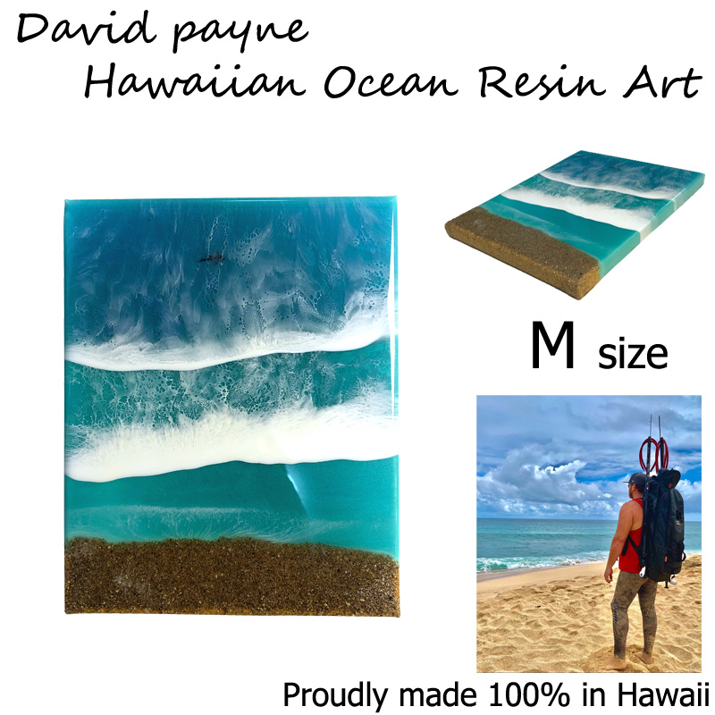 ハワイの絵画通販サイト デイヴィッドペイン ハワイアン レジン アート Mサイズ