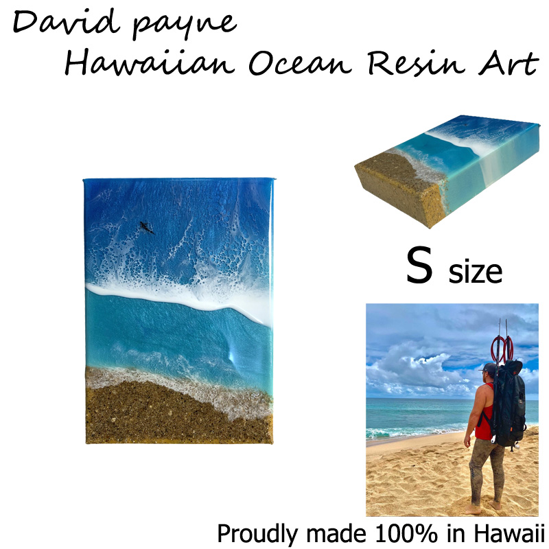 ハワイの絵画通販サイト デイヴィッドペイン ハワイアン レジン アート 